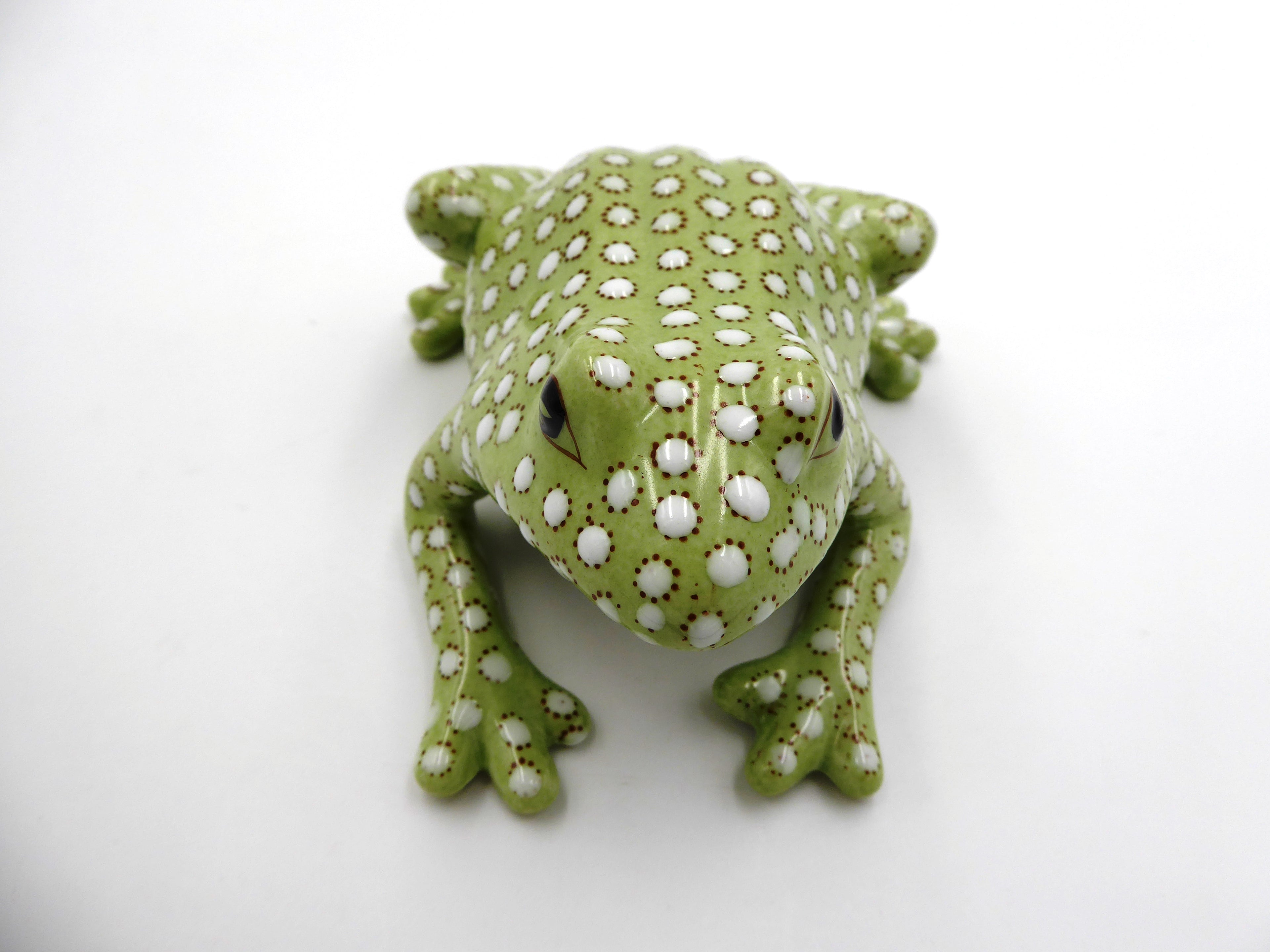 Grenouille chinoise verte à pois blancs