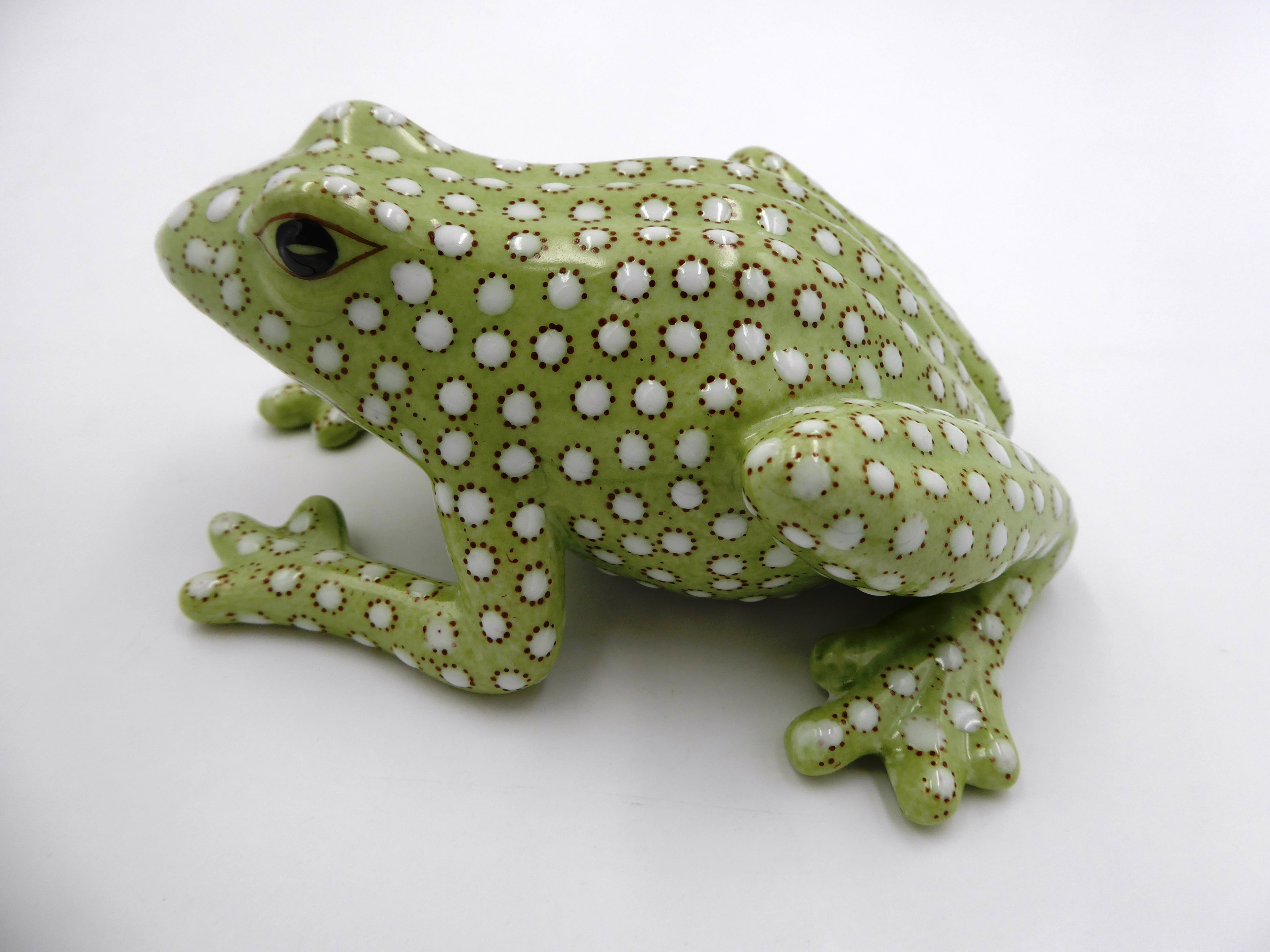 Grenouille chinoise verte à pois blancs