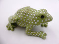Grenouille chinoise verte à pois blancs