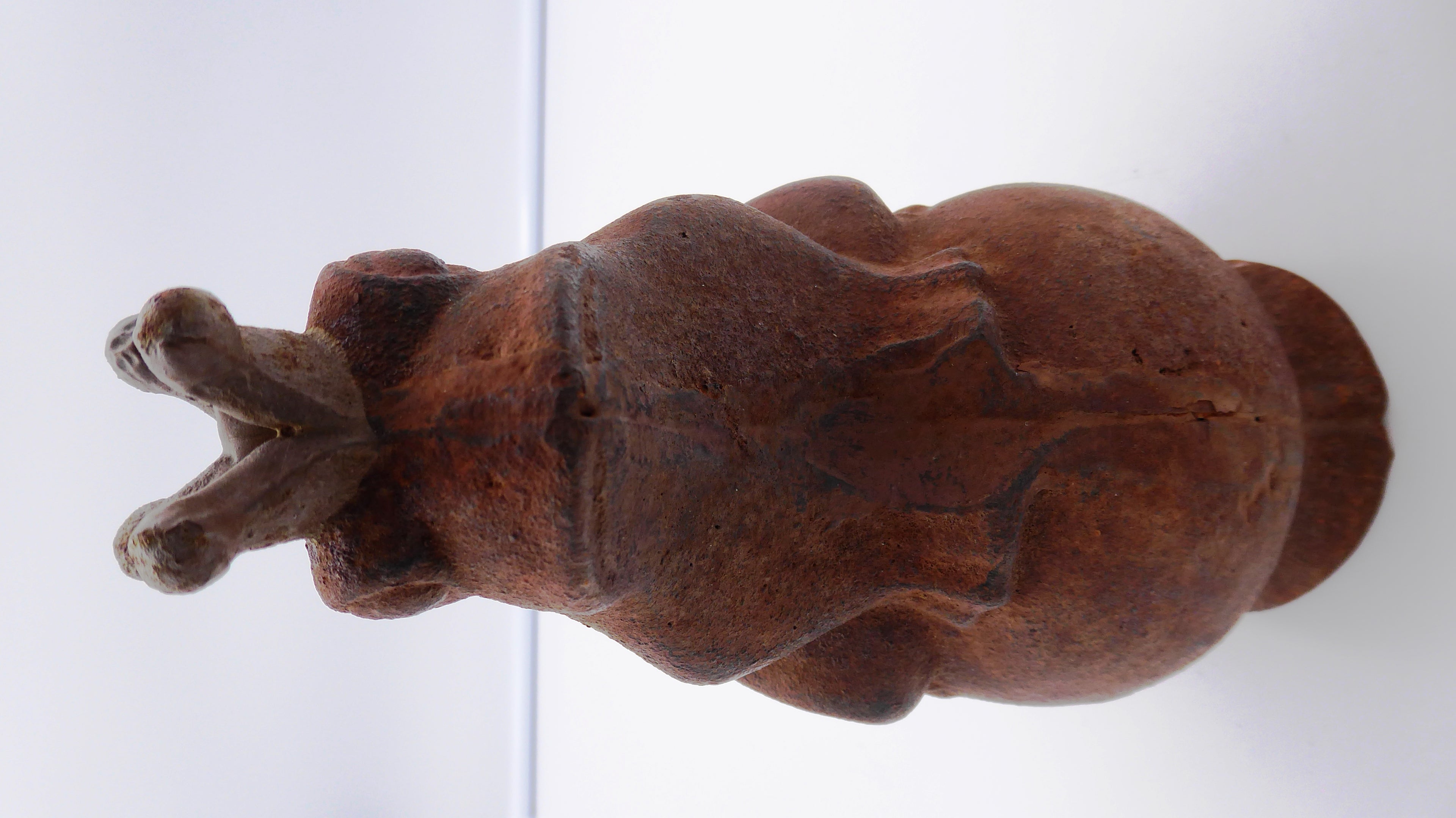 Grosse grenouille roi sur sa boule