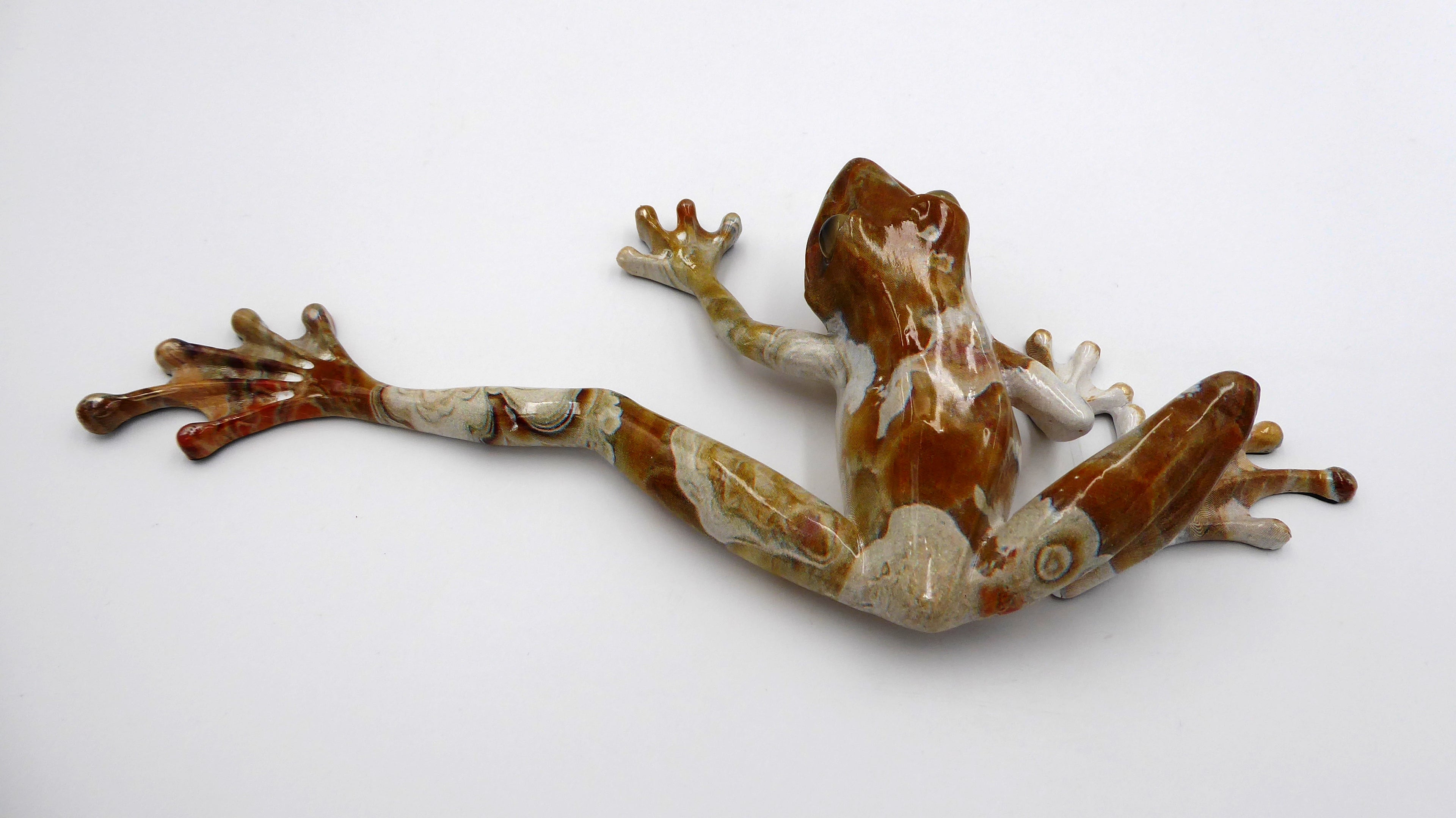 Superbe porcelaine grenouille à longue pattes