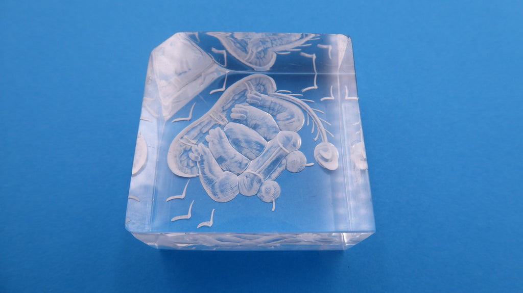 Bloc de plastique avec grenouille gravée en dessous