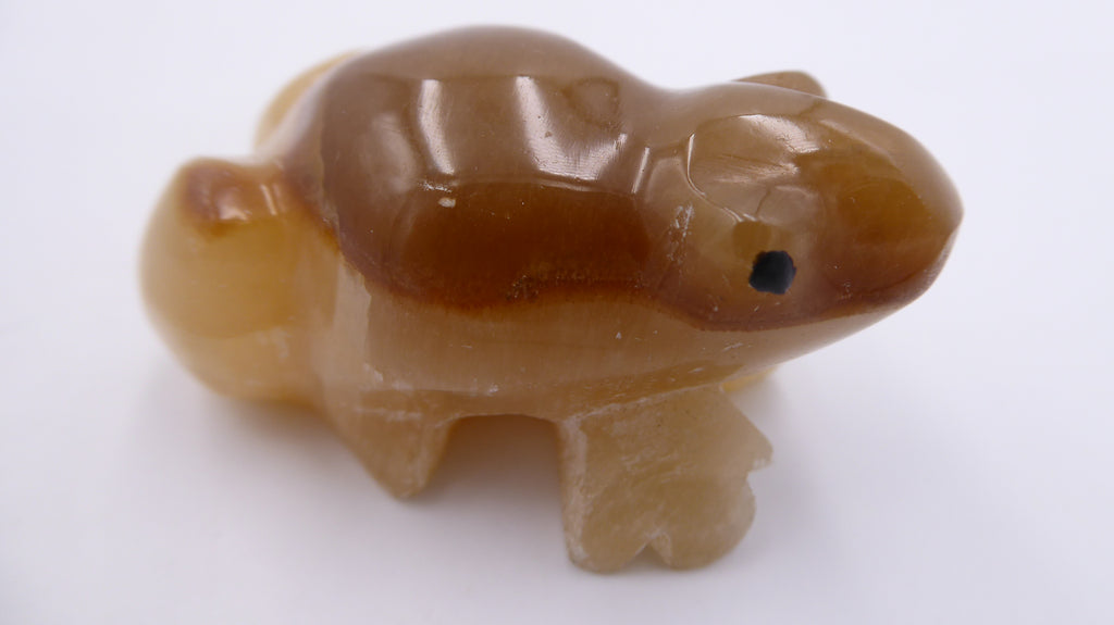 Grenouille en onyx