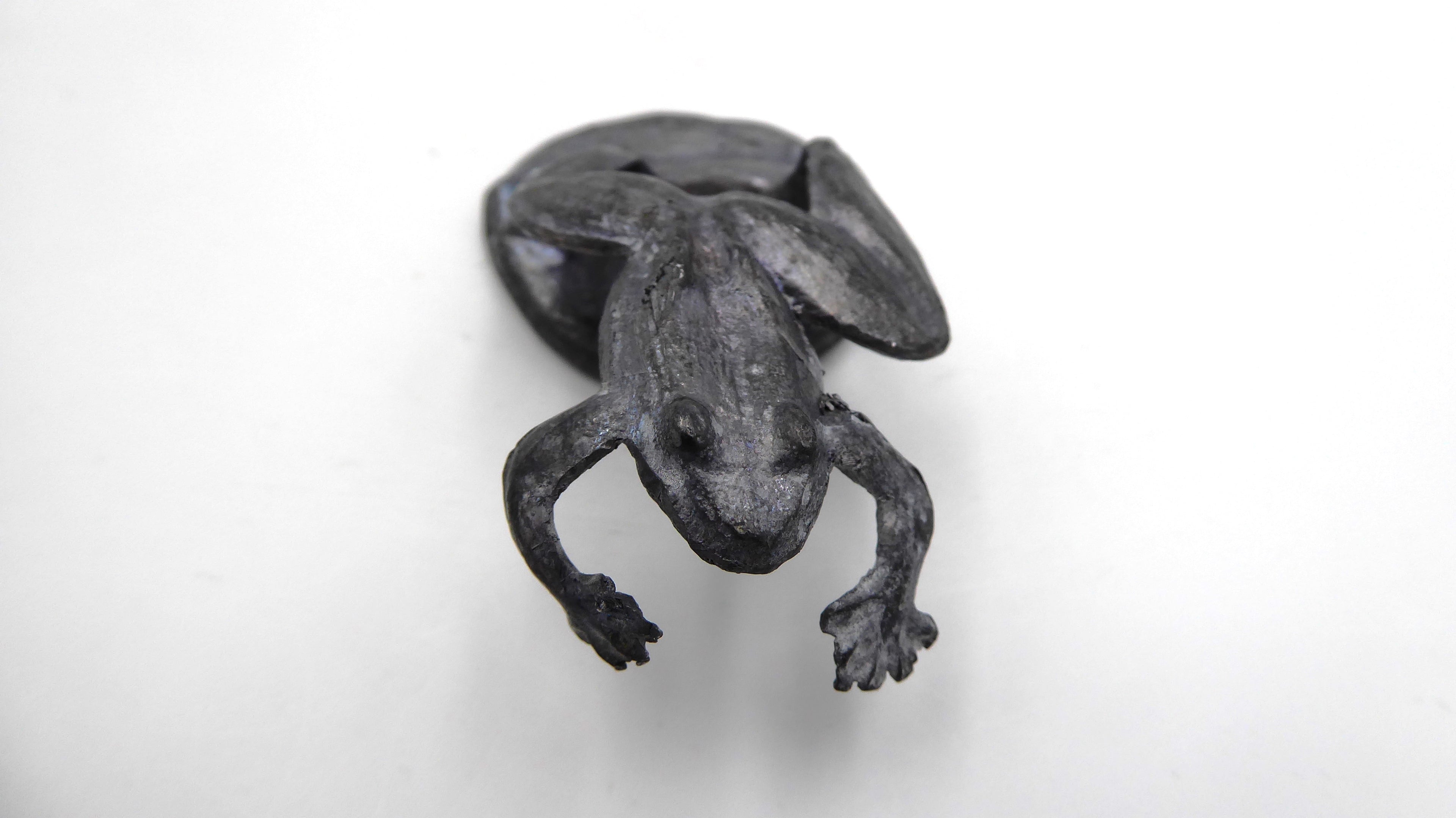 Grenouille en plomb sur un nénuphar