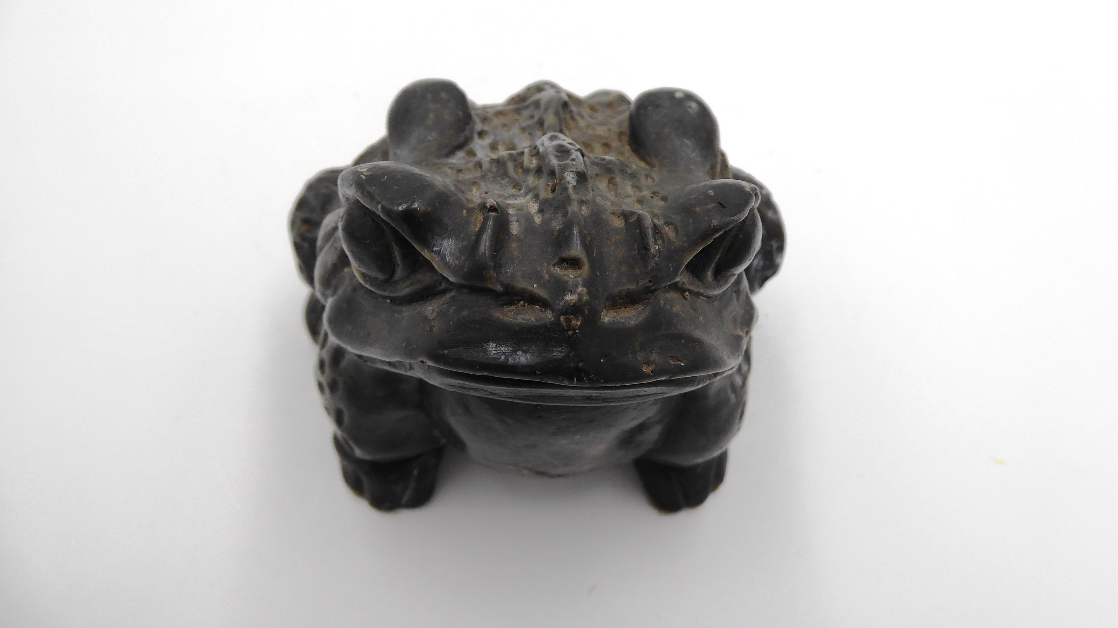 Grenouille en composite noirçi