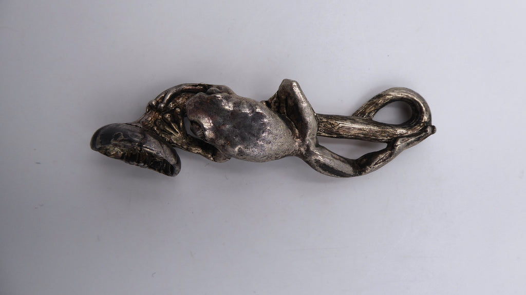 Grenouille en étain sur une branche
