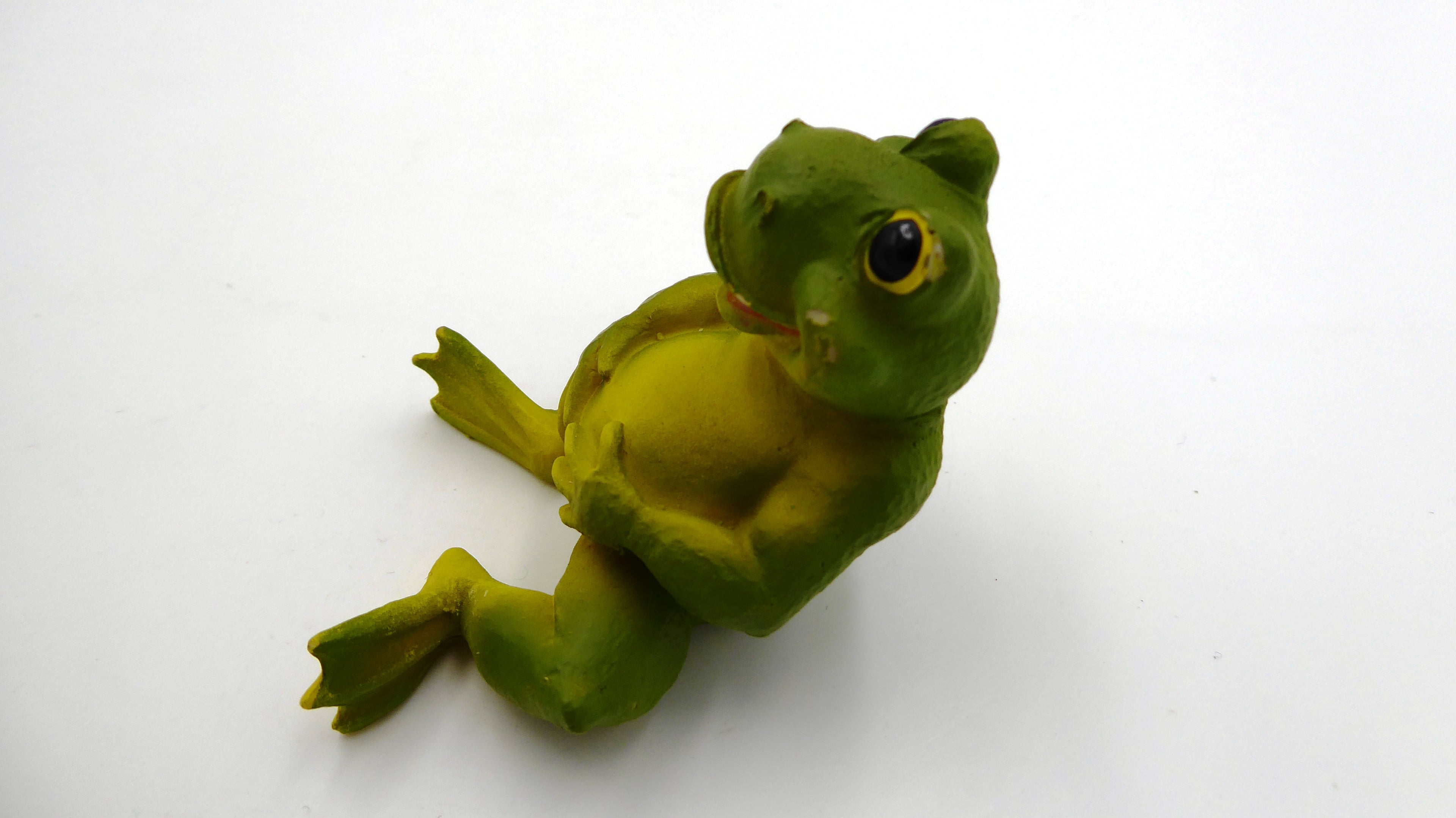 Grenouille se bedonant