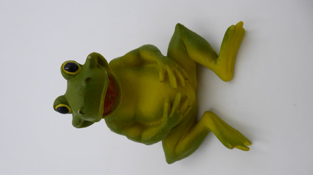 Grenouille se bedonant