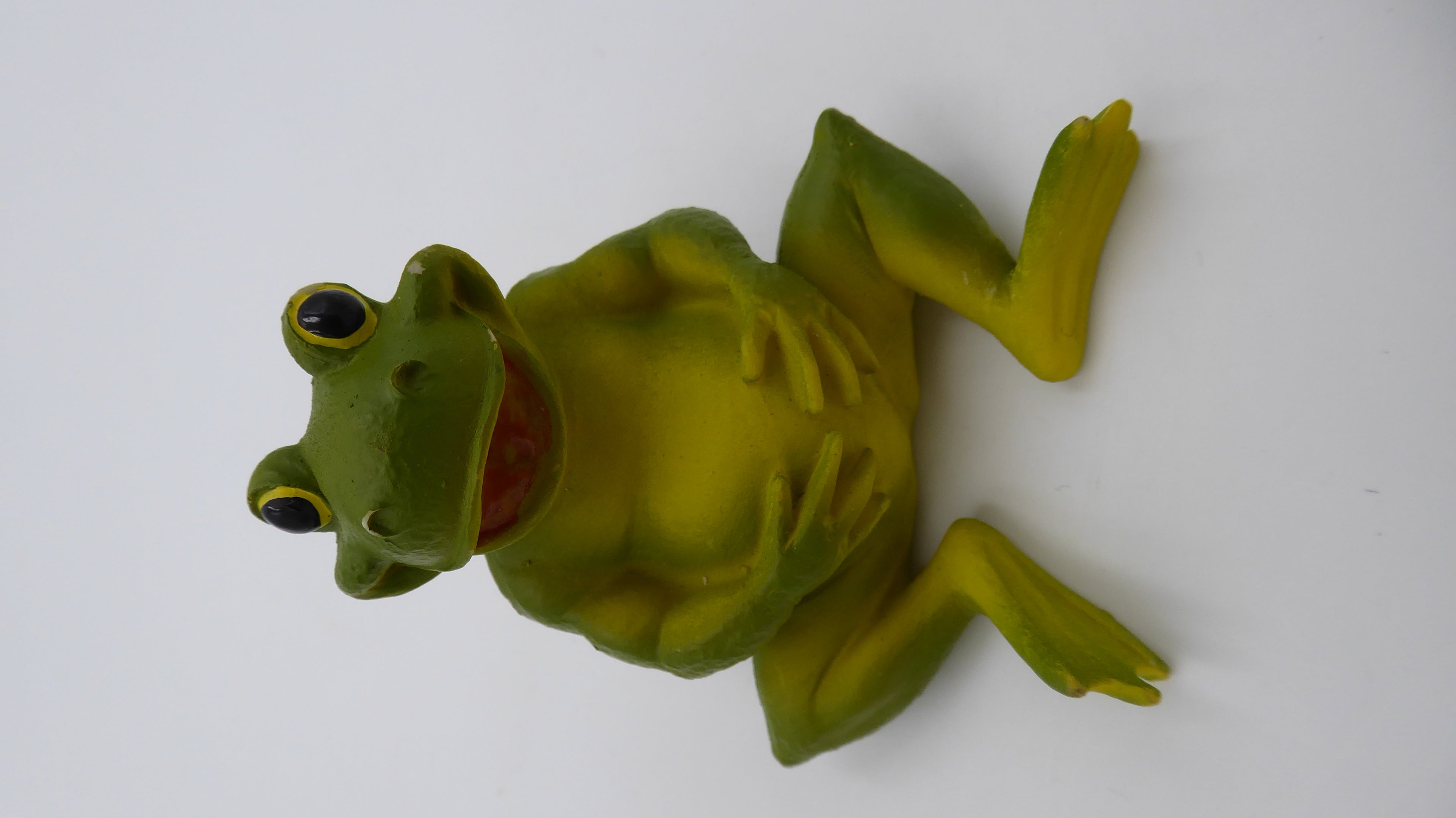 Grenouille se bedonant