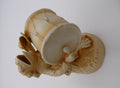 Grenouille musicienne en porcelaine de SAXE vernis brun