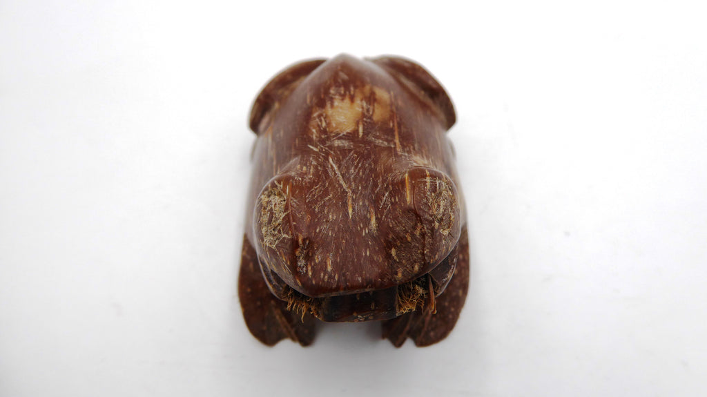Grenouille sculptée dans une coquille