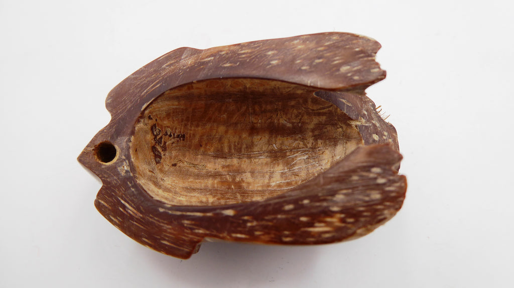 Grenouille sculptée dans une coquille