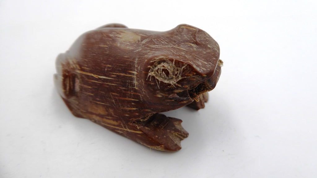 Grenouille sculptée dans une coquille
