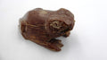 Grenouille sculptée dans une coquille