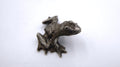 Petite grenouille en étain