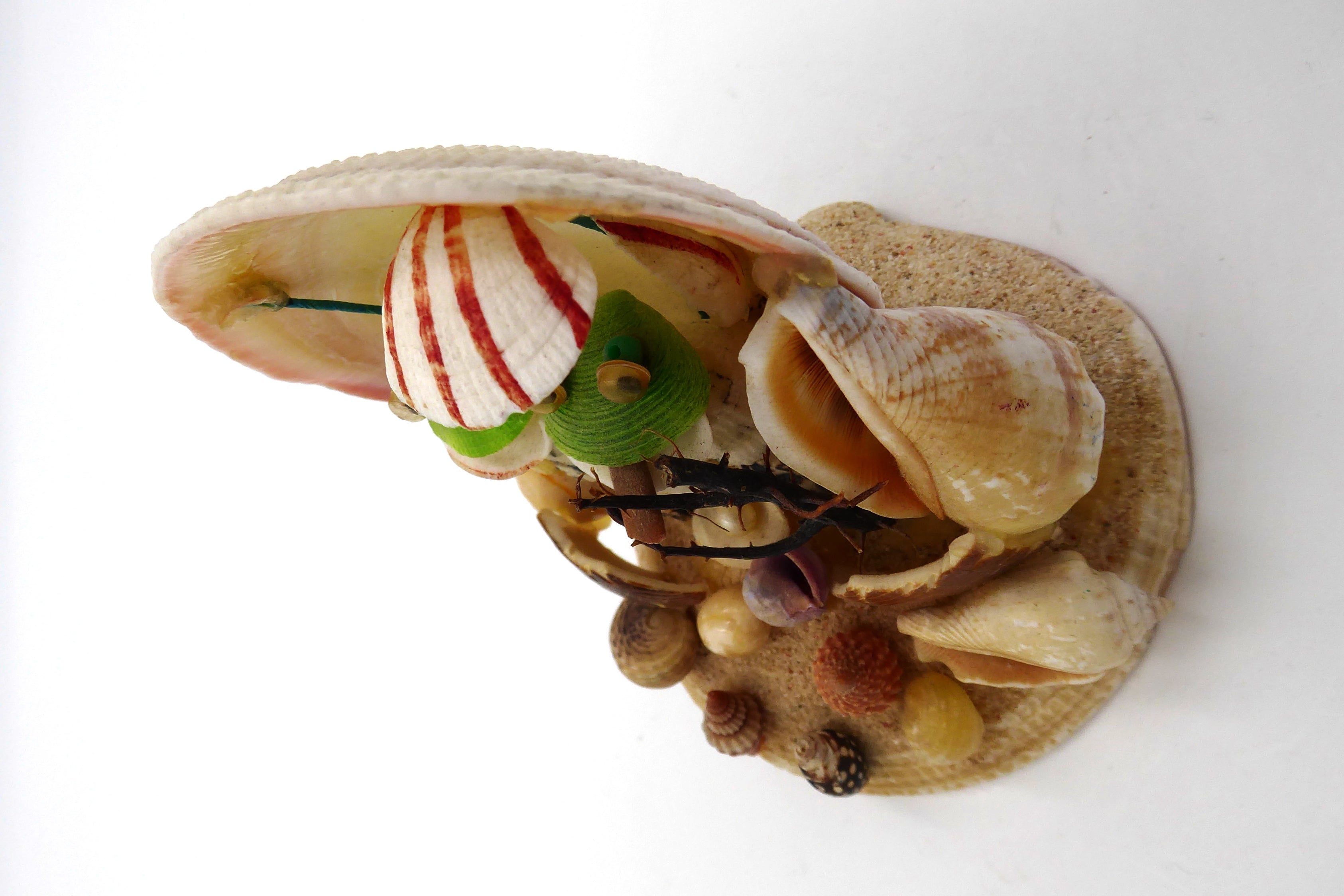 Création en coquille et coquillages