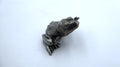 Grenouille en étain