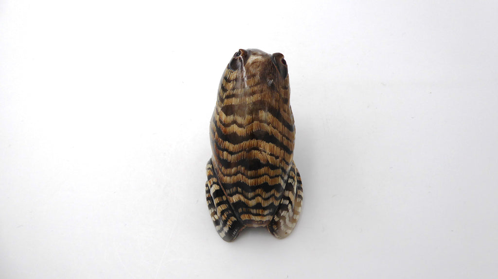 Grenouille taillée dans écorce de bois façon tigre