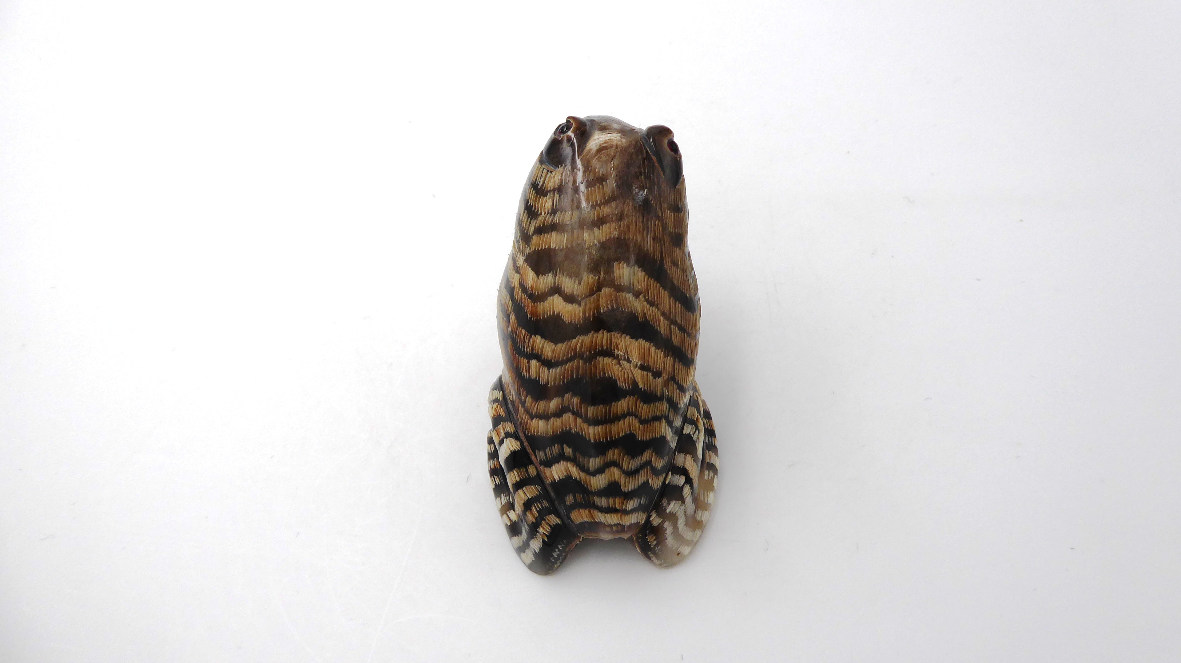 Grenouille taillée dans écorce de bois façon tigre