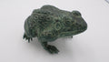 Grosse grenouille en fonte verte