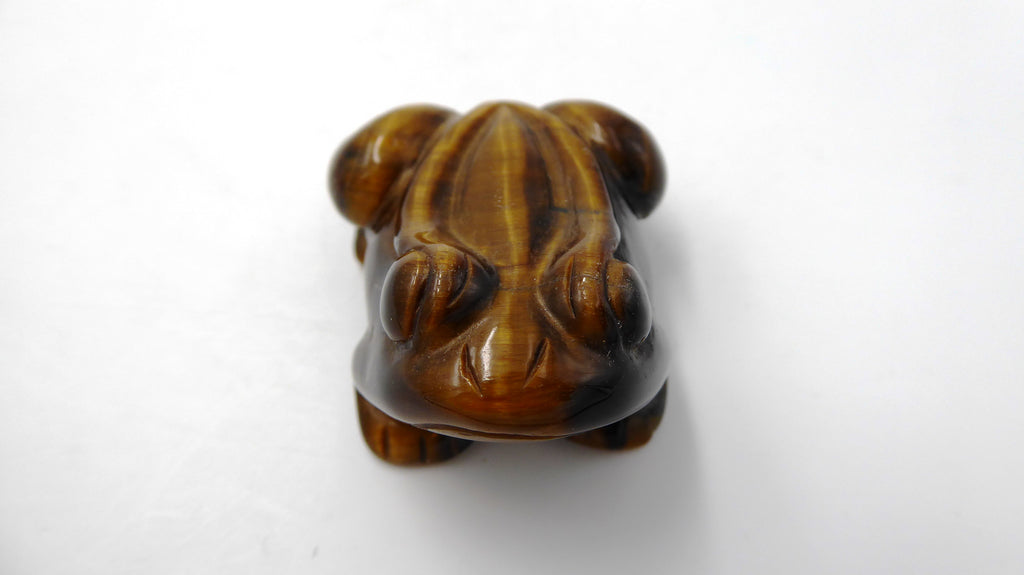 Grenouille en pierre œil de tigre venant d'AFRIQUE DU SUD