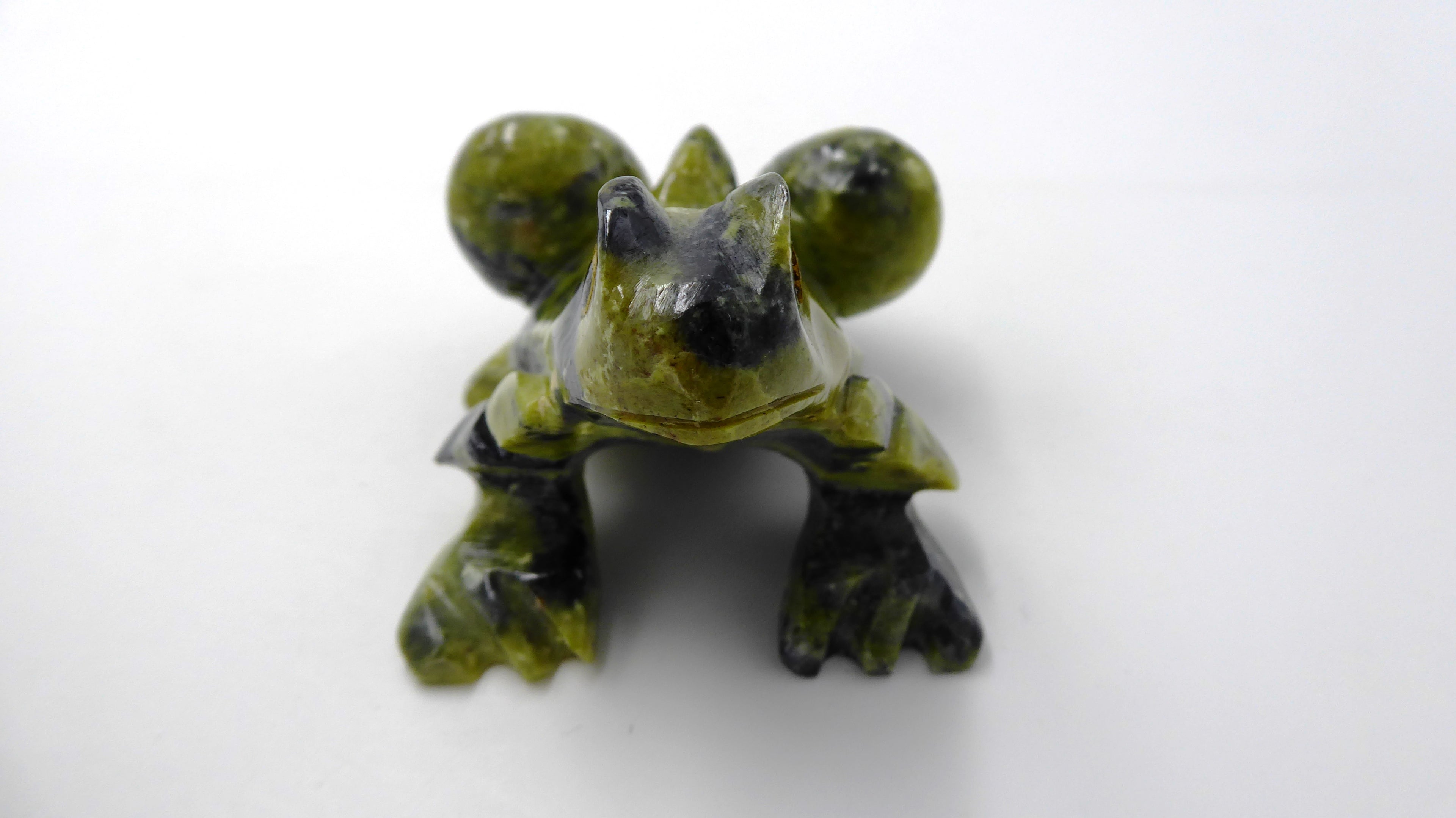 Grenouille en serpentine venant du PEROU