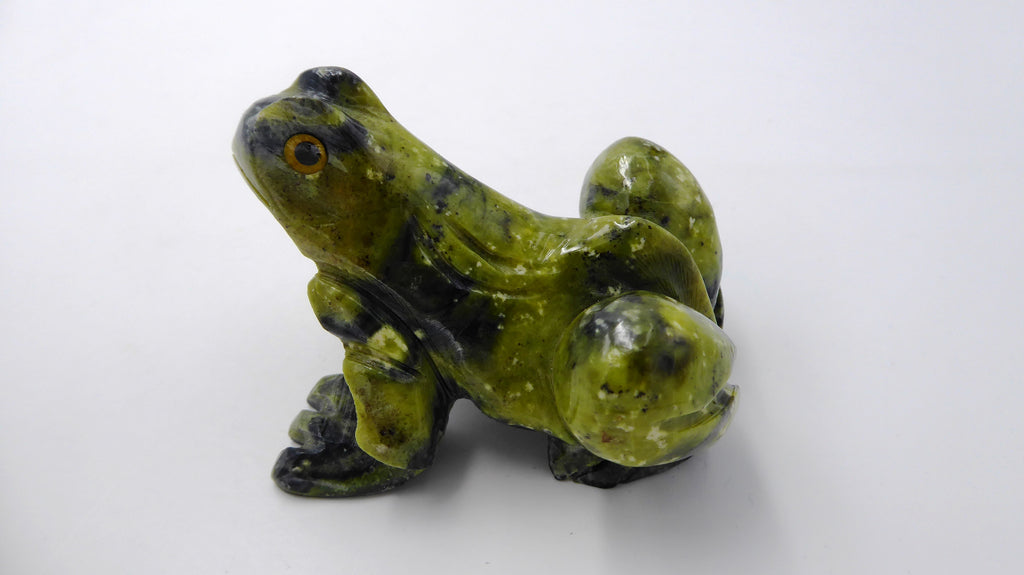 Grenouille en serpentine venant du PEROU