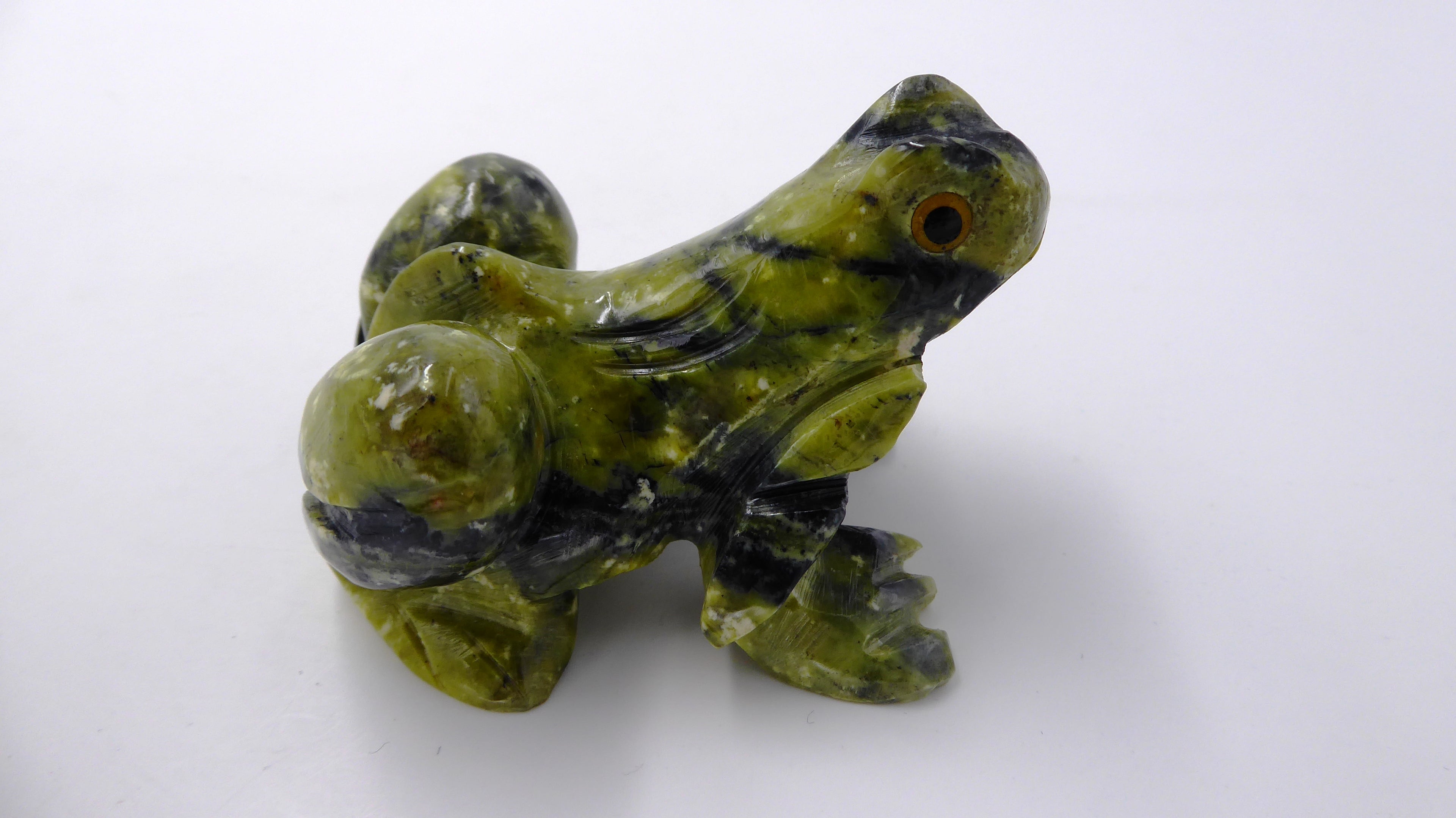 Grenouille en serpentine venant du PEROU