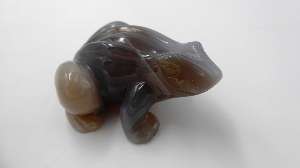 Grenouille en agate venant du BOTSWANA