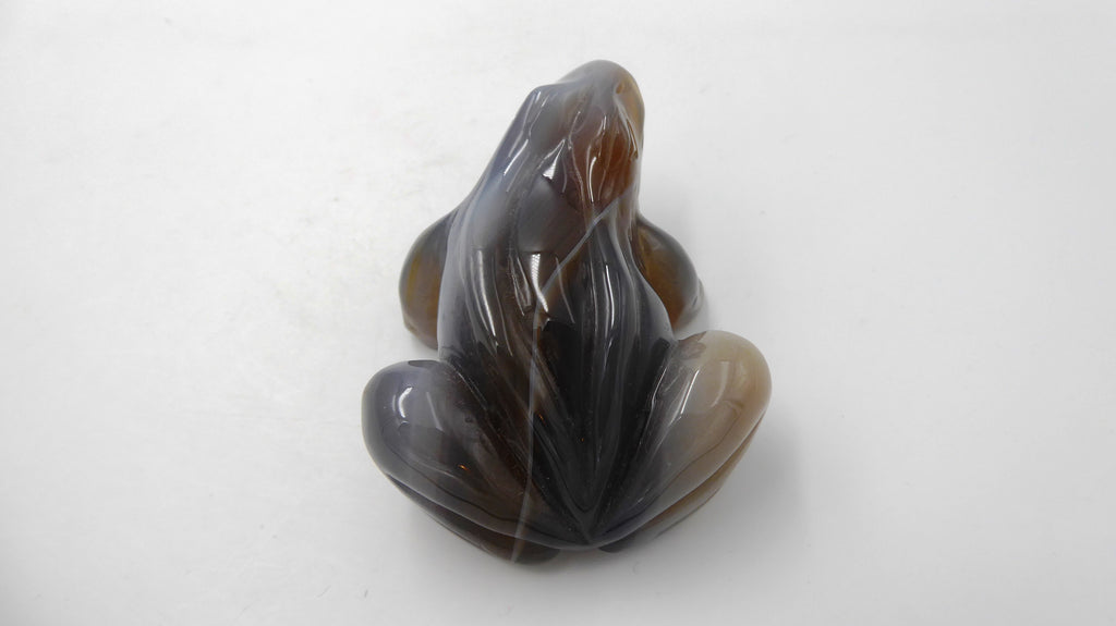 Grenouille en agate venant du BOTSWANA