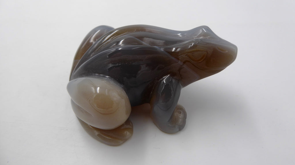 Grenouille en agate venant du BOTSWANA
