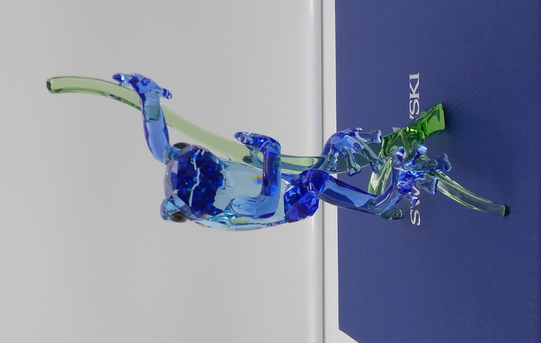Grenouille sur la branche de SWAROVSKI
