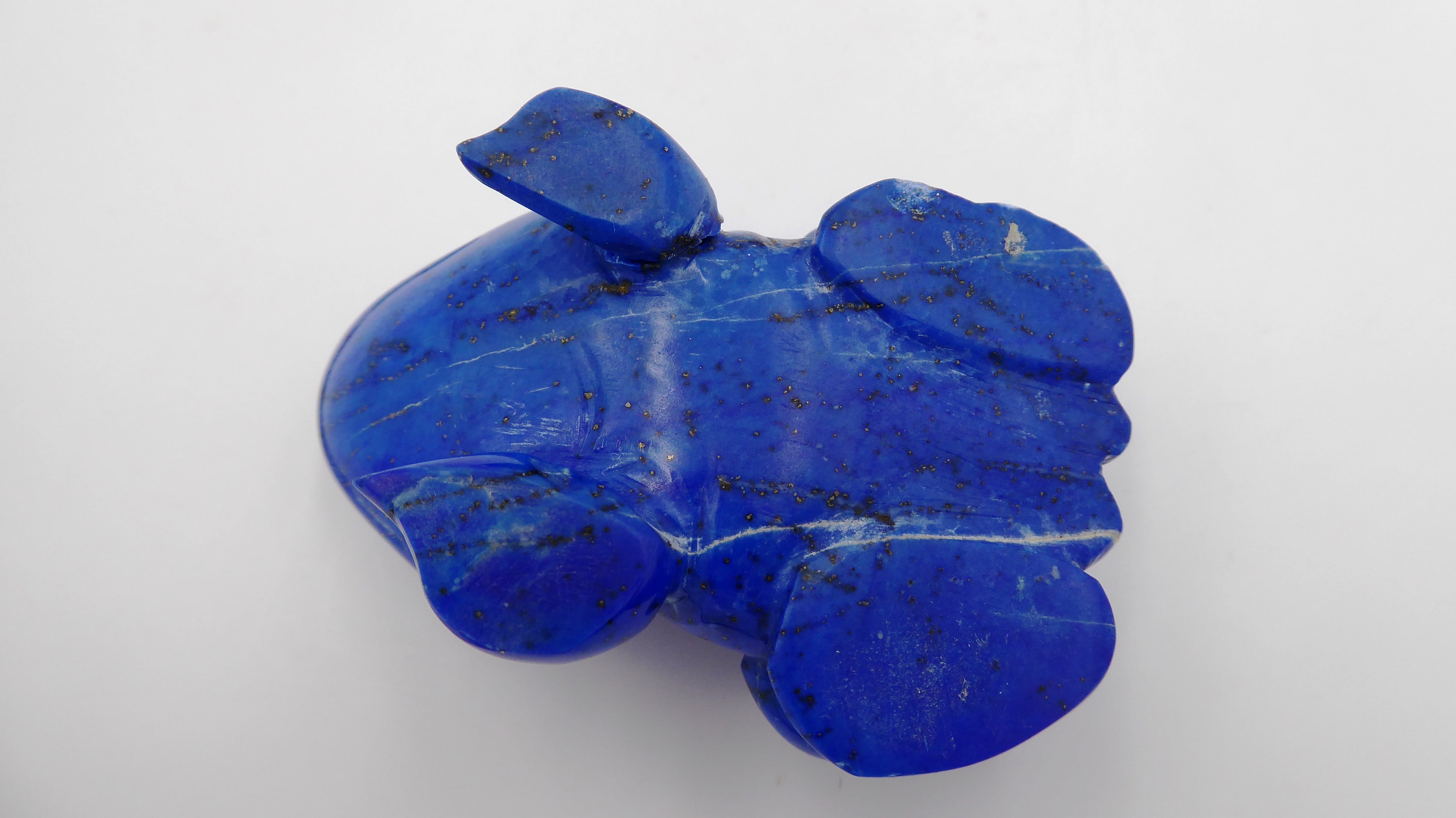 Petite grenouille en Lapis-Lazuli
