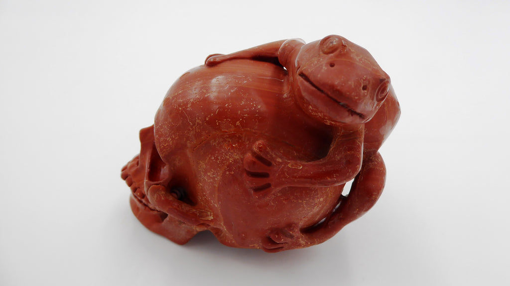 Rare grenouille en jaspe rouge de bonne taille posée sur une tête de mort