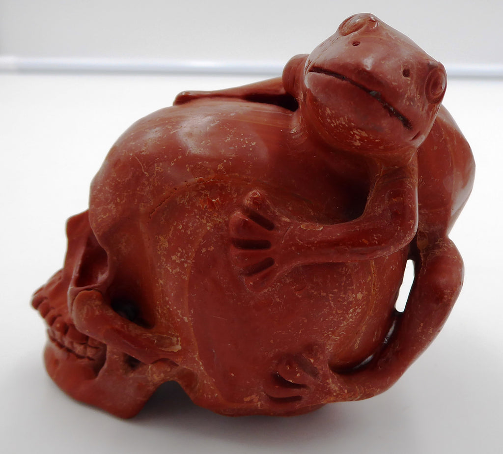 Rare grenouille en jaspe rouge de bonne taille posée sur une tête de mort