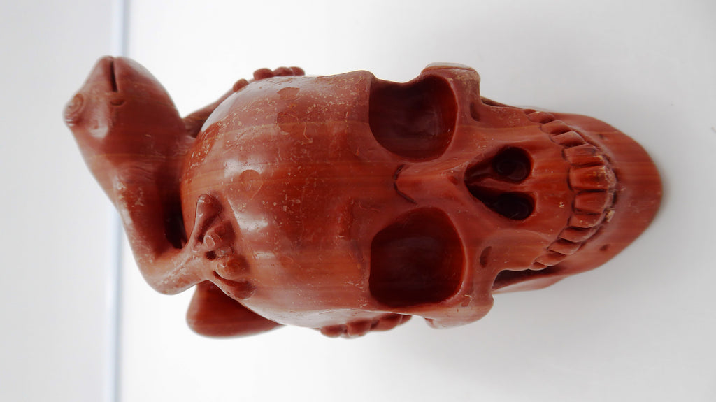 Rare grenouille en jaspe rouge de bonne taille posée sur une tête de mort