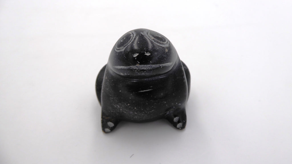 Grenouille ne pierre noire tachetée