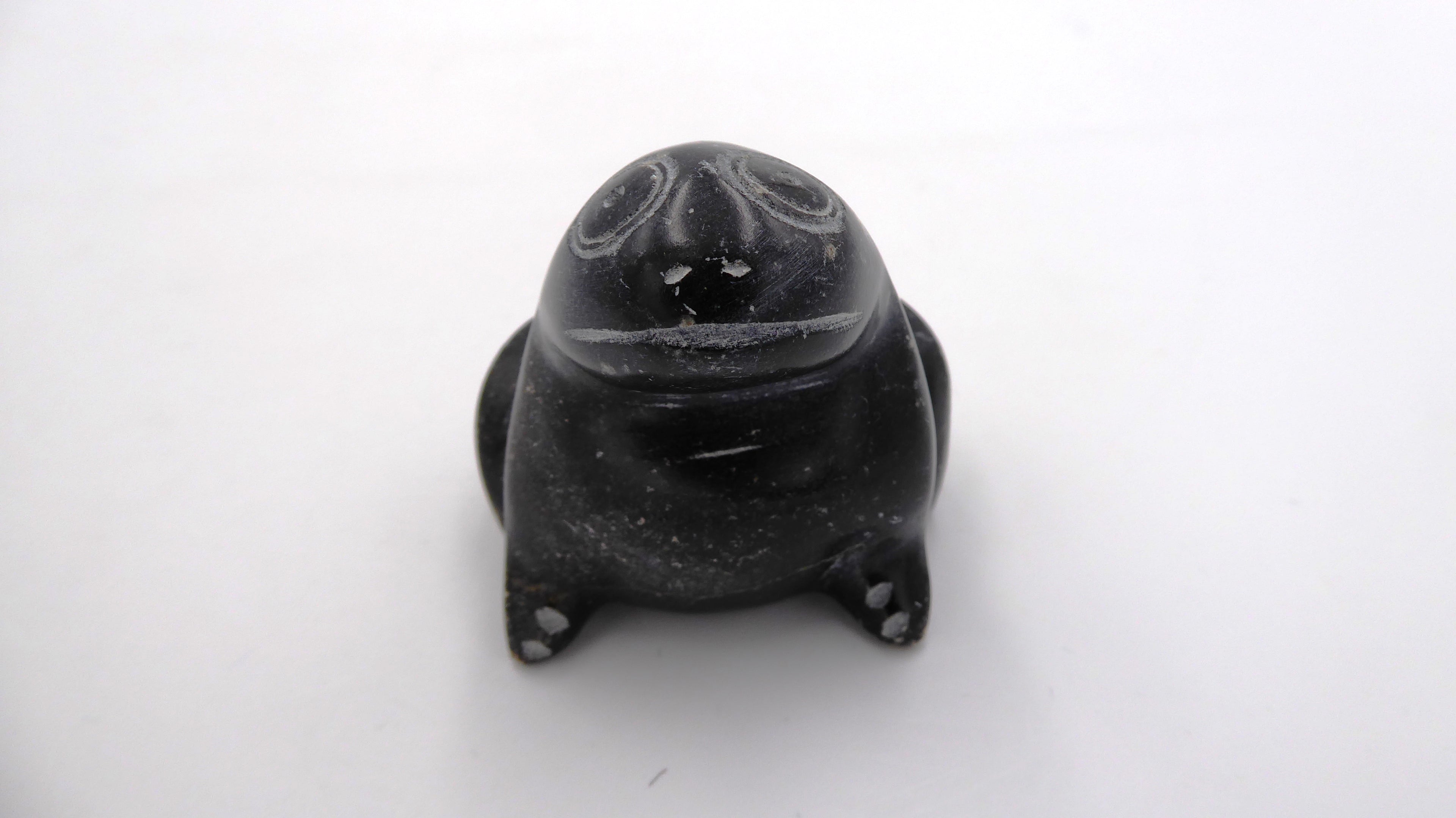 Grenouille ne pierre noire tachetée