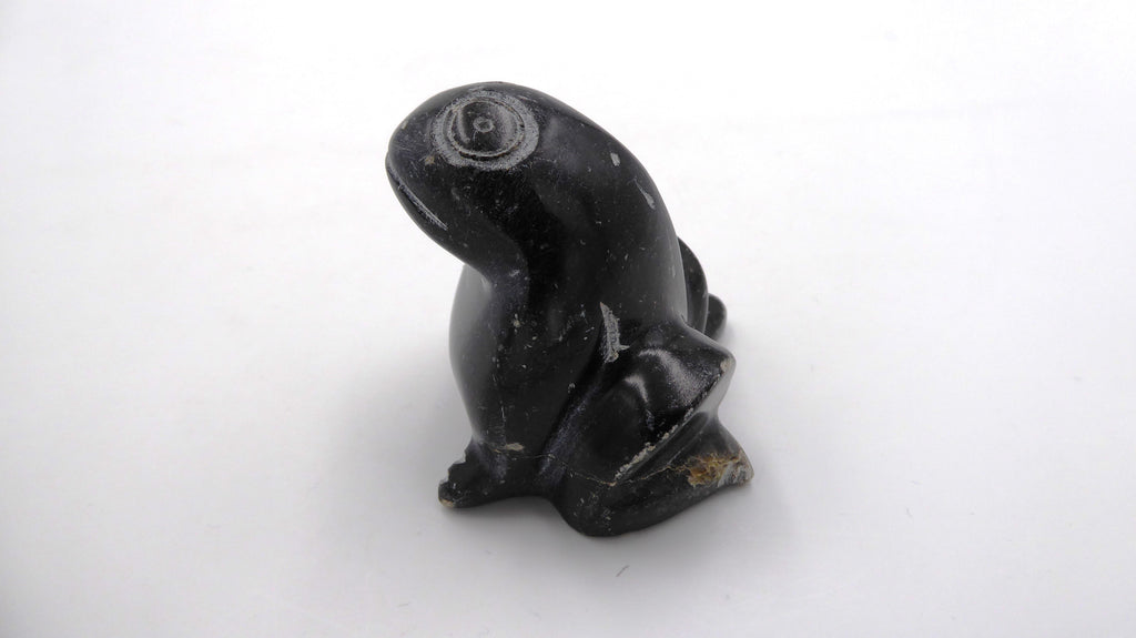 Grenouille ne pierre noire tachetée