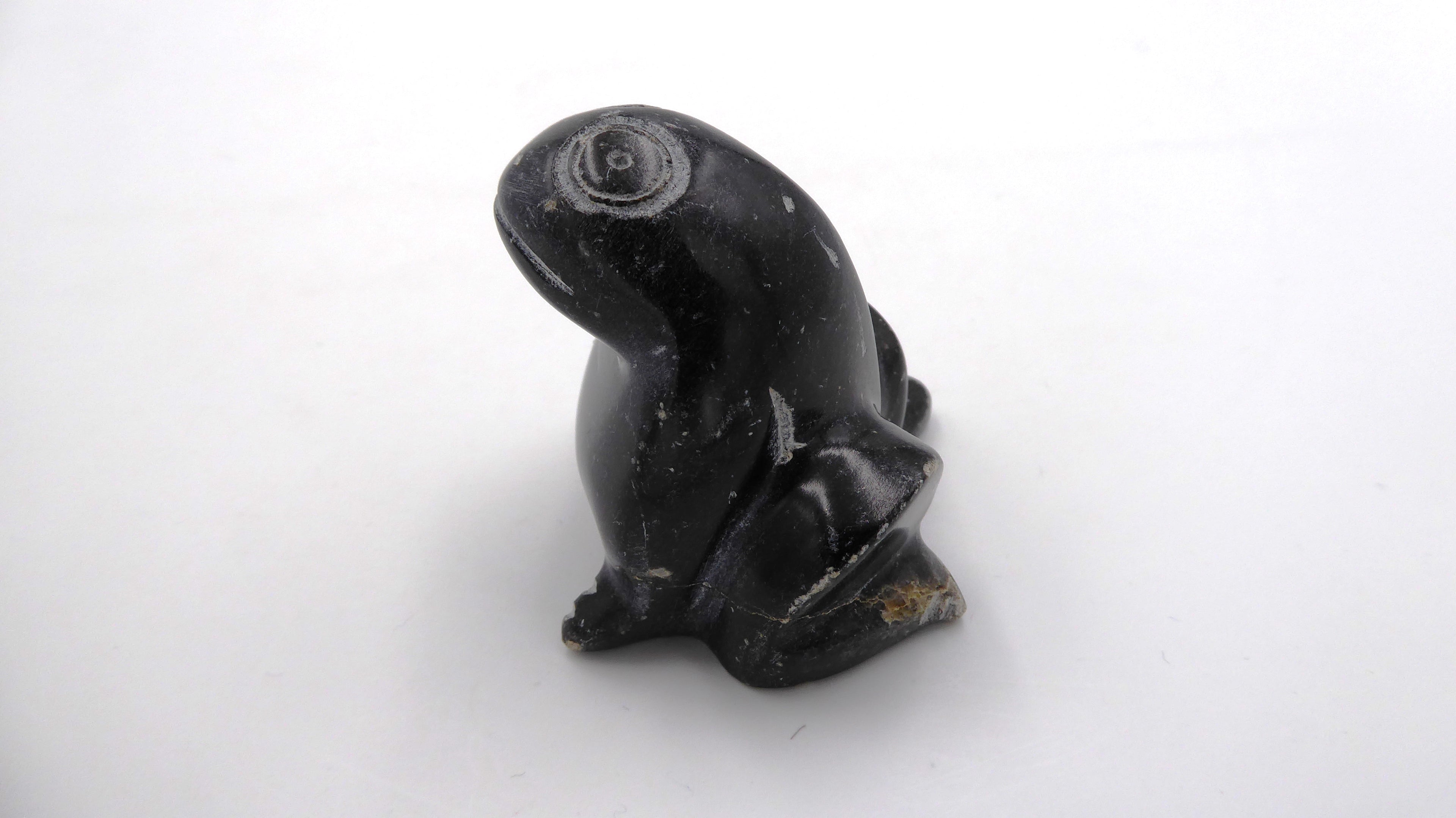 Grenouille ne pierre noire tachetée