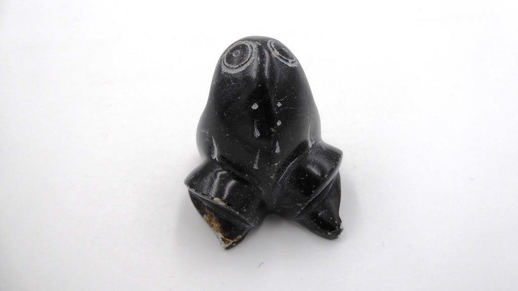 Grenouille ne pierre noire tachetée
