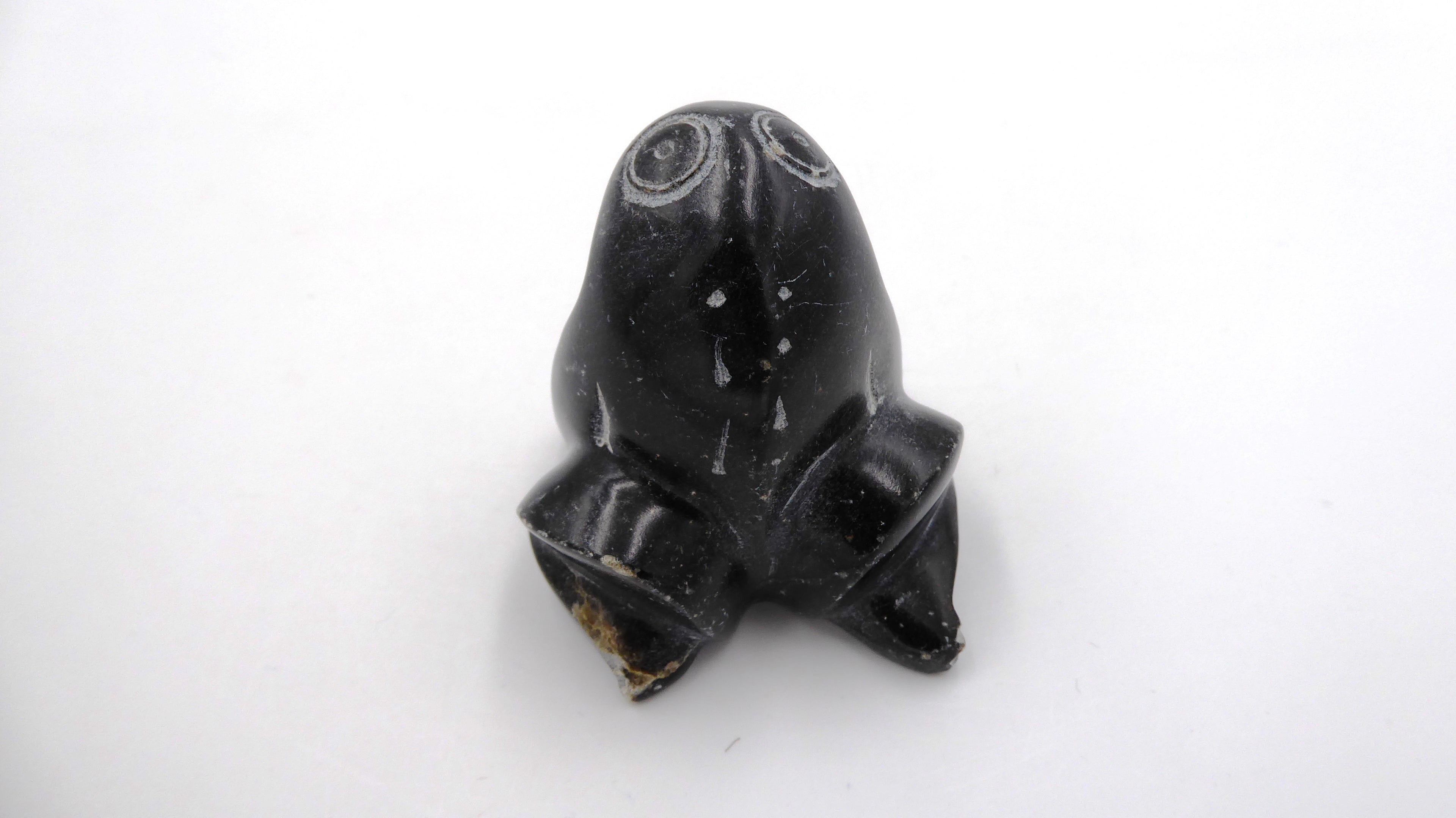 Grenouille ne pierre noire tachetée
