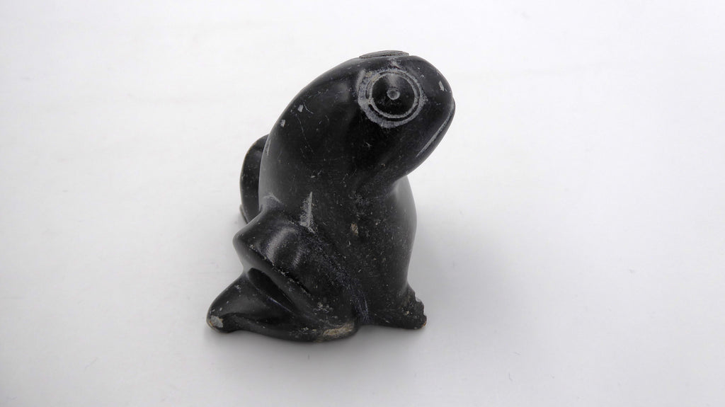 Grenouille ne pierre noire tachetée