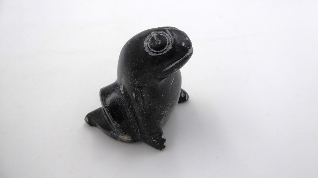 Grenouille ne pierre noire tachetée