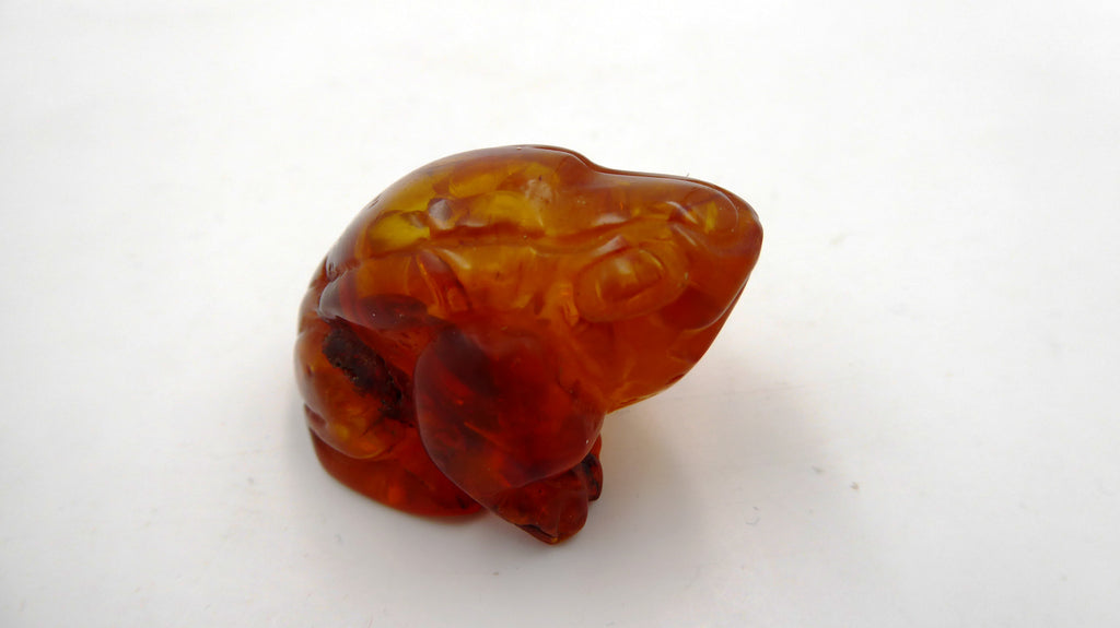 Petite grenouille en ambre