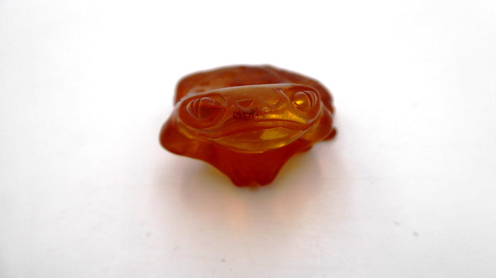 Petite grenouille en ambre