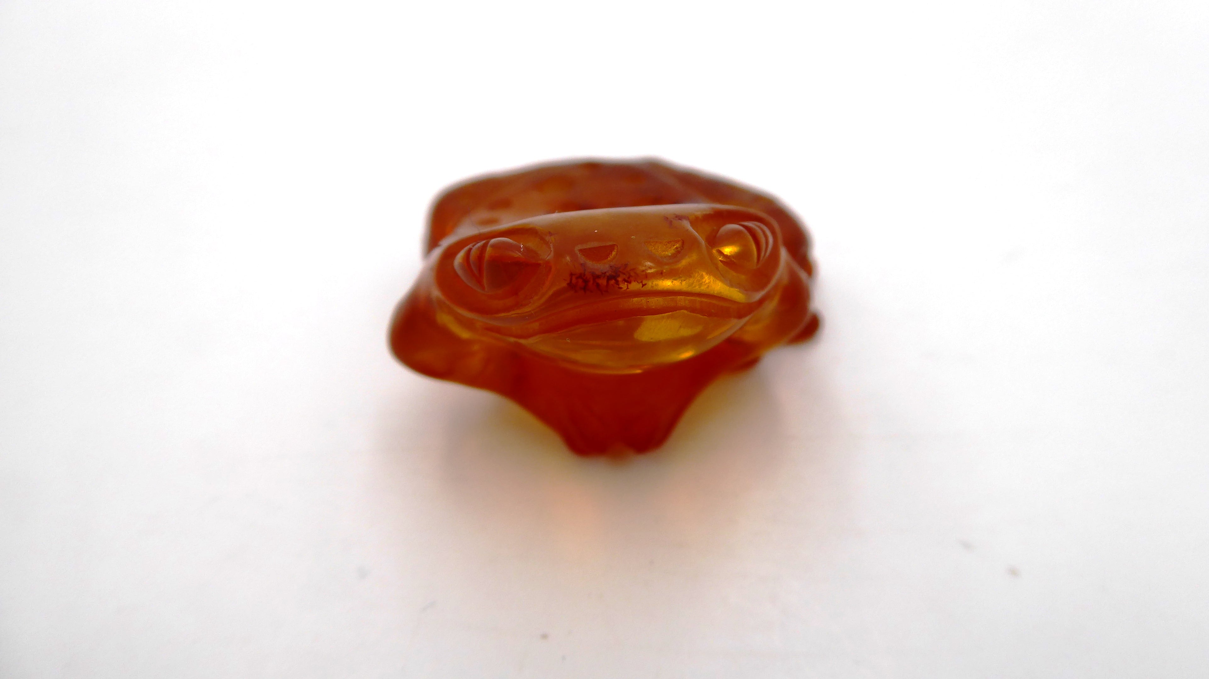 Petite grenouille en ambre