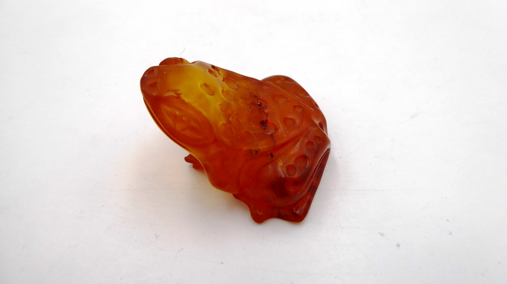 Petite grenouille en ambre