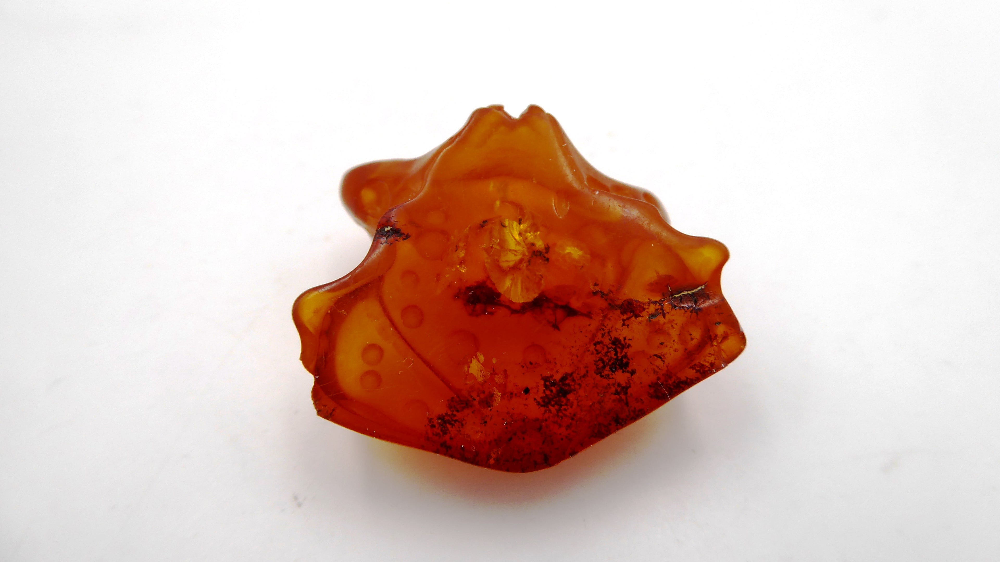 Petite grenouille en ambre