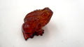 Petite grenouille en ambre